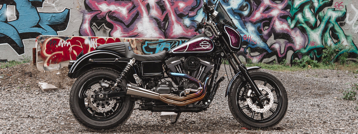 Dyna and FXR