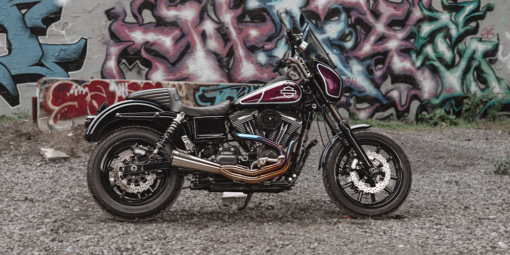 Dyna and FXR