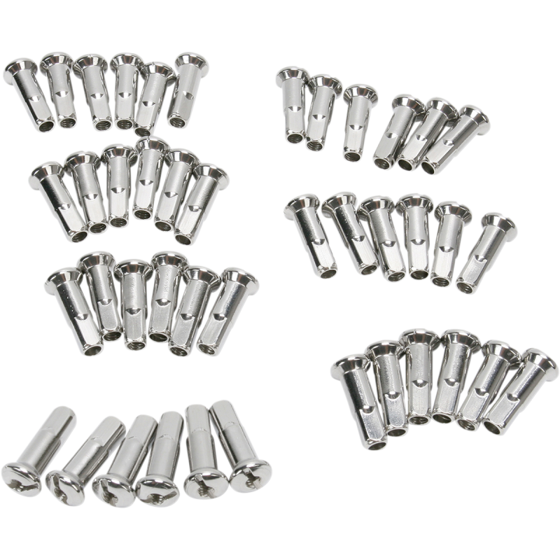 DS-380113 - 21E76982-3E0D-4584-9A81-48A493019CFF.png