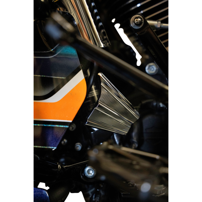 2107-0359 - D1D52C48-76F8-47B5-B075-F49FEAED91DE.png